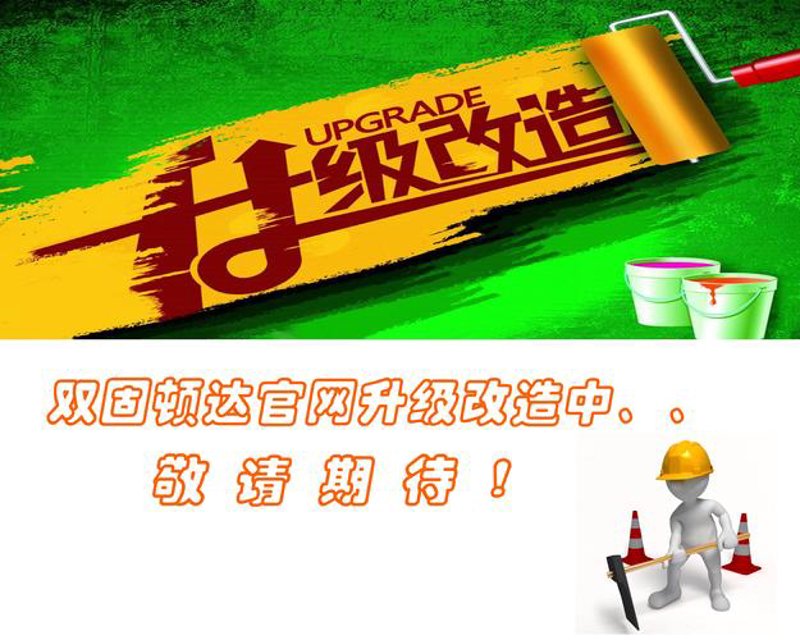 温州网络技术引领创新未来